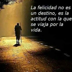 Meet your Posher, Simon